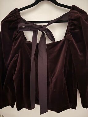 Banana Republic Velvet Puff-Sleeve Tie-Back Top in Deep Plum